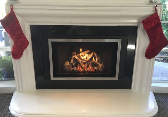 A dog enjoying a fireplace insert made by Pacific Hearth & Home in Rancho Cordova, CA
